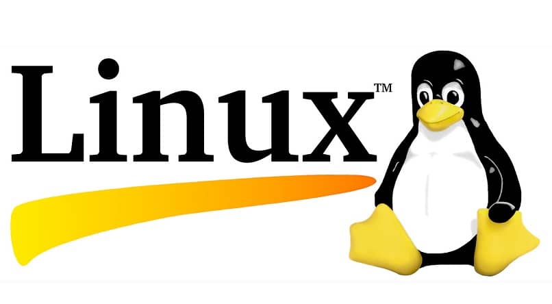usar comandos de terminal linux