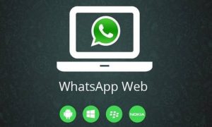 Cómo Puedo Hacer Videollamadas Desde WhatsApp web en el PC (Ejemplo