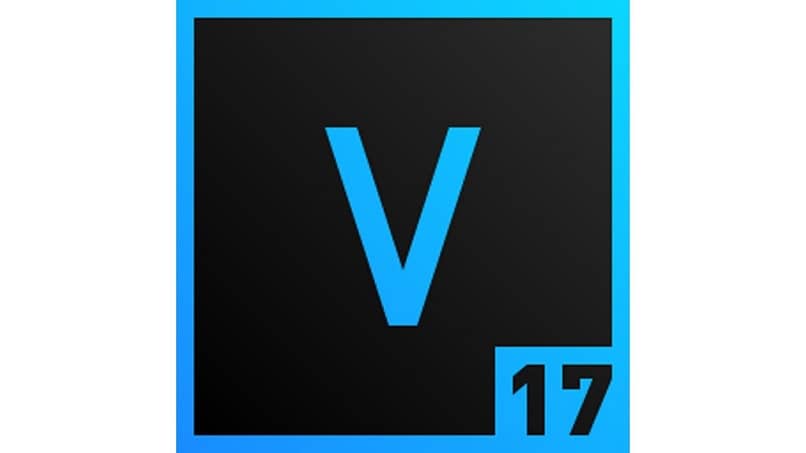 letra V azul negro numero 17