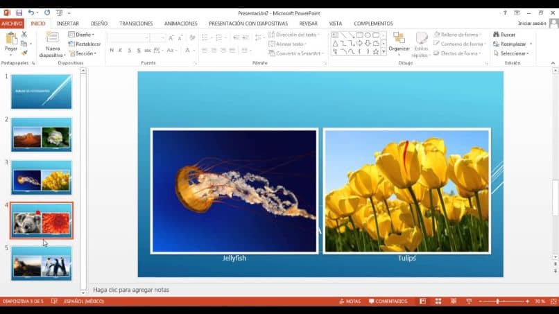 How to make a photo album or presentation in PowerPoint