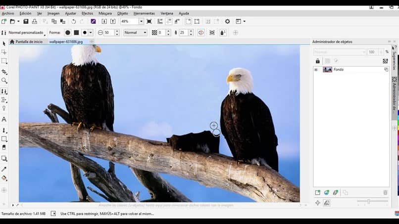 How to Create Reflection Effect for Text Using Corel Photo Paint - Step by Step