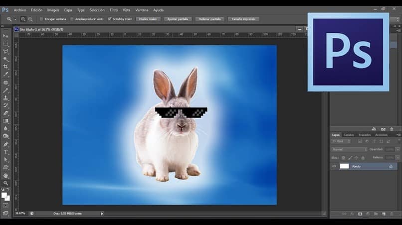 conejo lentes photoshop