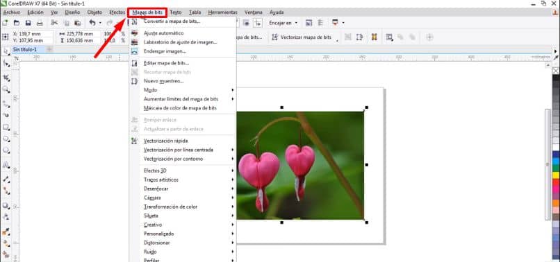 flores hoja blanco flecha corel rectangulo