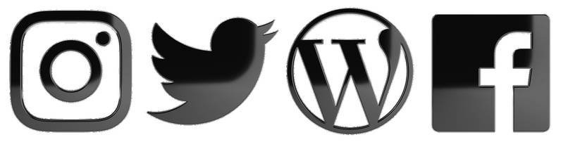 How to insert timelines, tweets, and Twitter buttons in WordPress