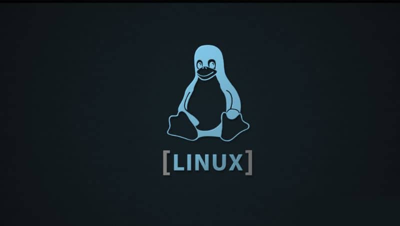 Pinguino Linux, fondo negro
