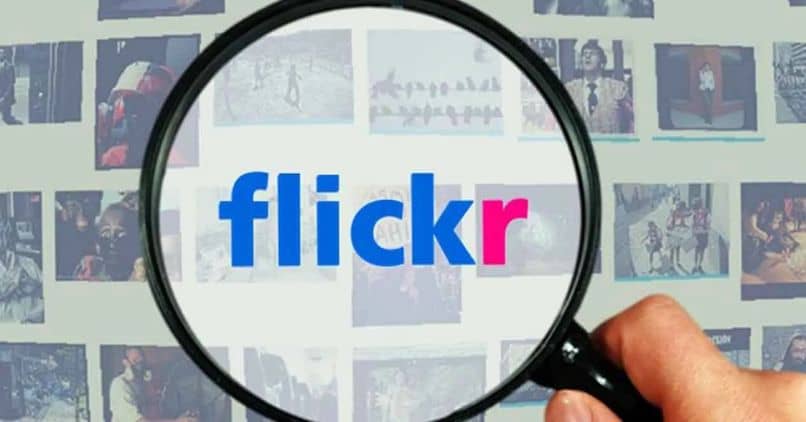logo buscar flickr