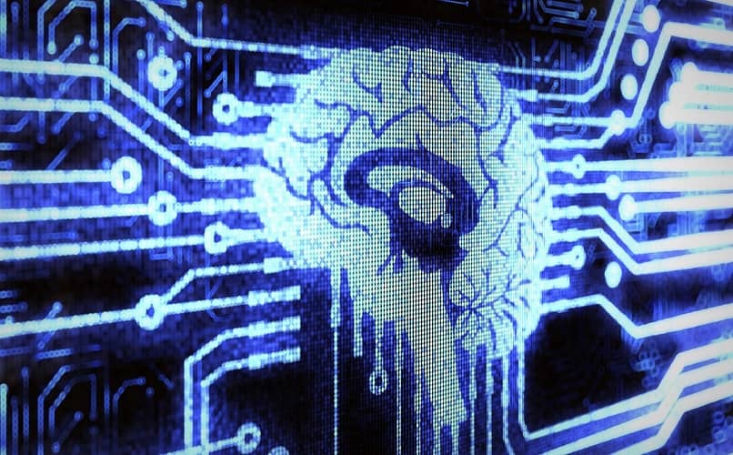 circuito cerebral computadora