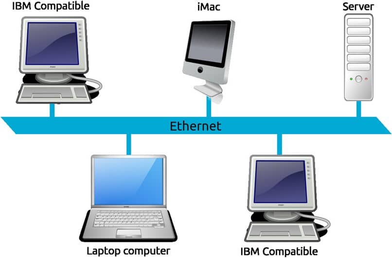 What are they, what are they for and what are the types of computer networks?