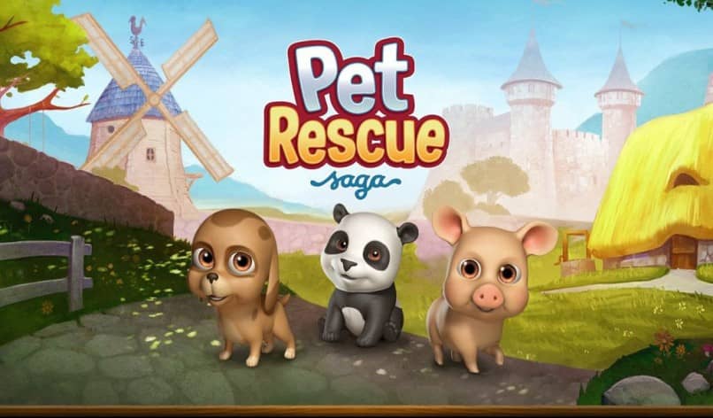 Actualizar Pet Rescue