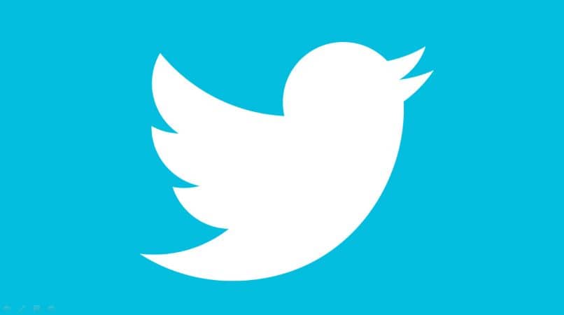 logotipo app twitter