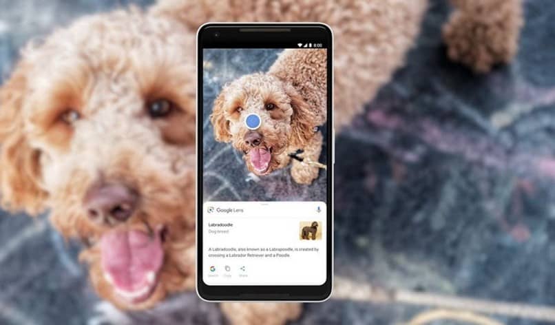 How to use Google Lens in Google Photos images on Android?