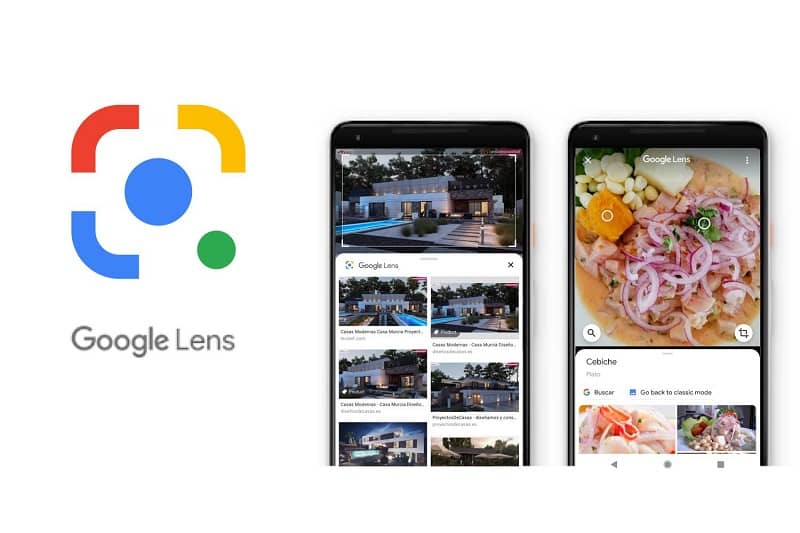 Use Google Lens to identify plants