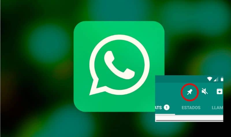 WhatsApp fijar chats