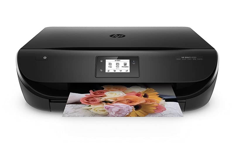 imprimir imagen flores