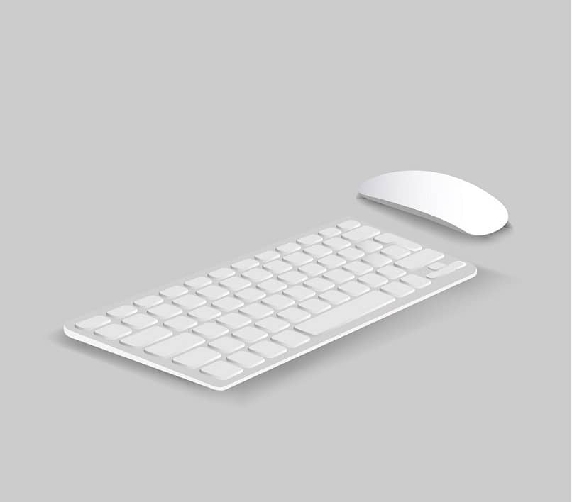 ratón teclado blanco y gris