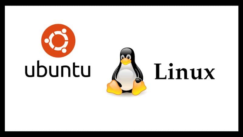 logo ubuntu y pinguino linux con fondo blanco