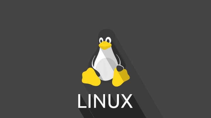 pinguino logo de linux en fondo negro