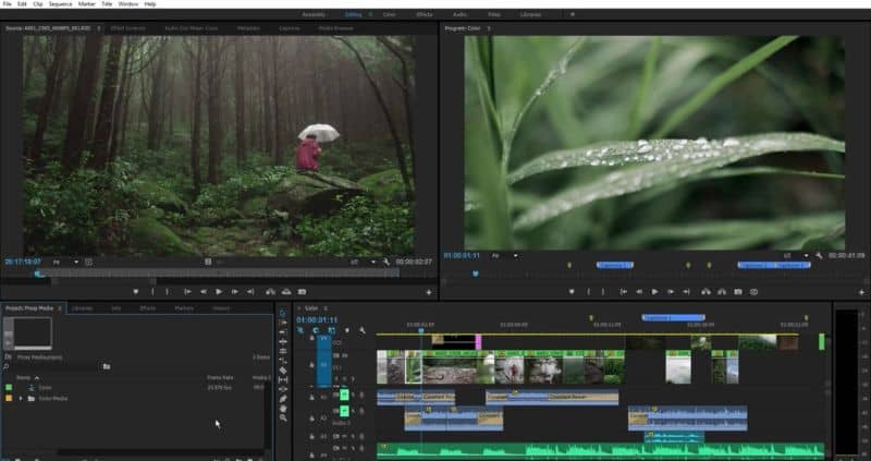 How to Center Images in Adobe Premiere Pro - Quick and Easy