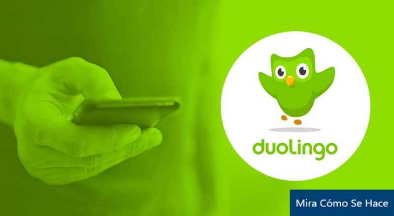 Fondo Duolingo, celular en la mano