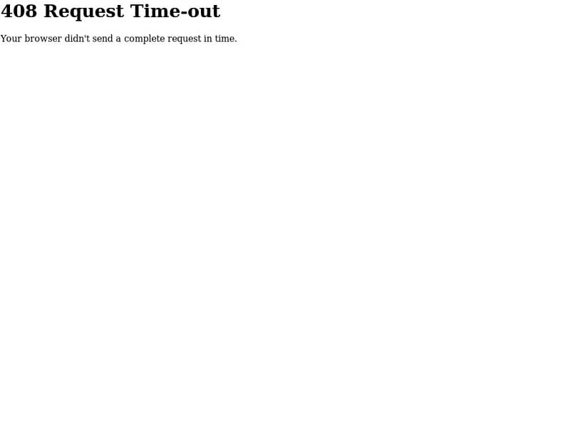 What does it mean and how to fix the 408 Request Timeout error?