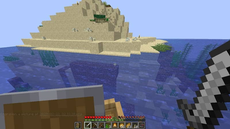 Bioma de oceano en Minecraft