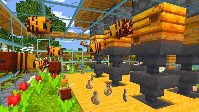 Como Sacar La Miel En Minecraft