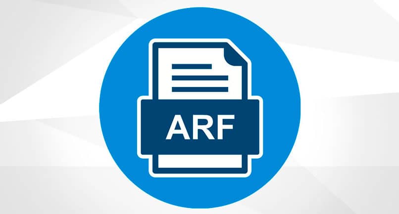 download arf player for windows