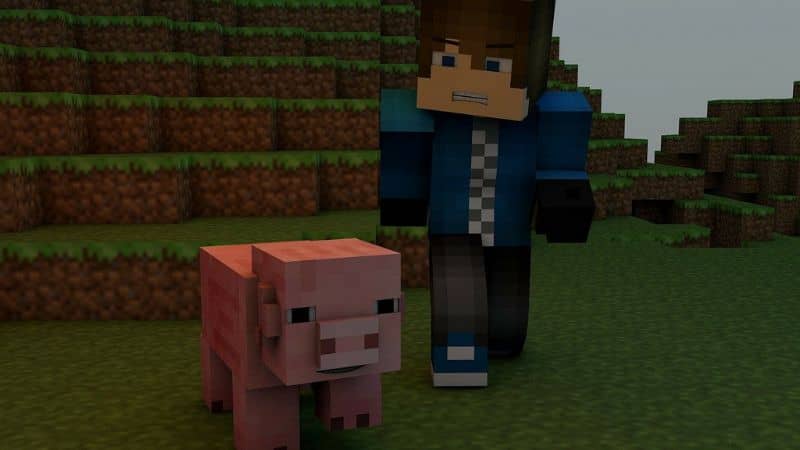 Cerdo y jugador minecraft