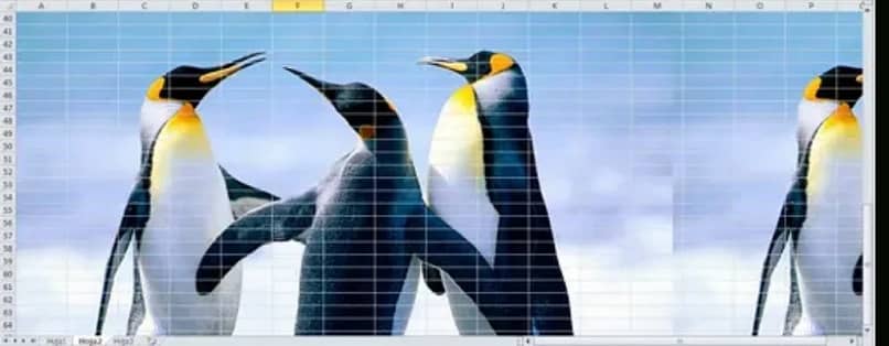 imagen de pingüinos como fondo de una hoja en excel