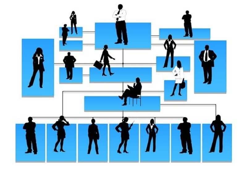 estructura organizativa en una empresa