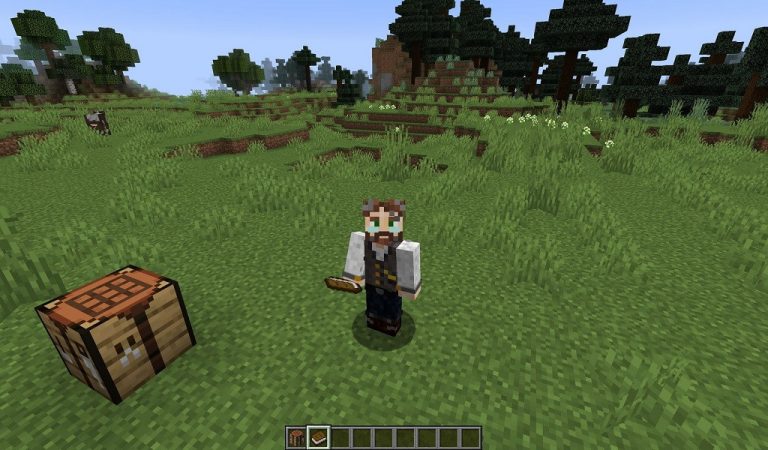 Como Hacer Libro Y Pluma En Minecraft