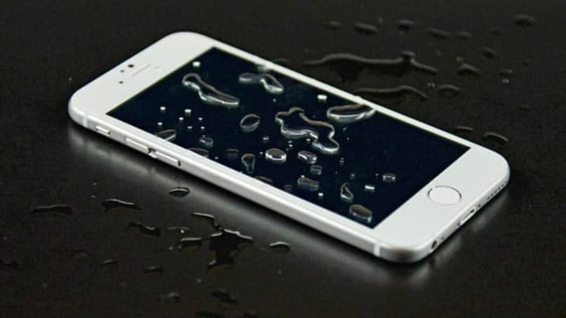 How to fix the speaker of my cell phone if it is wet – Step by step guide