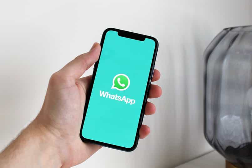 WhatsApp instalada movil